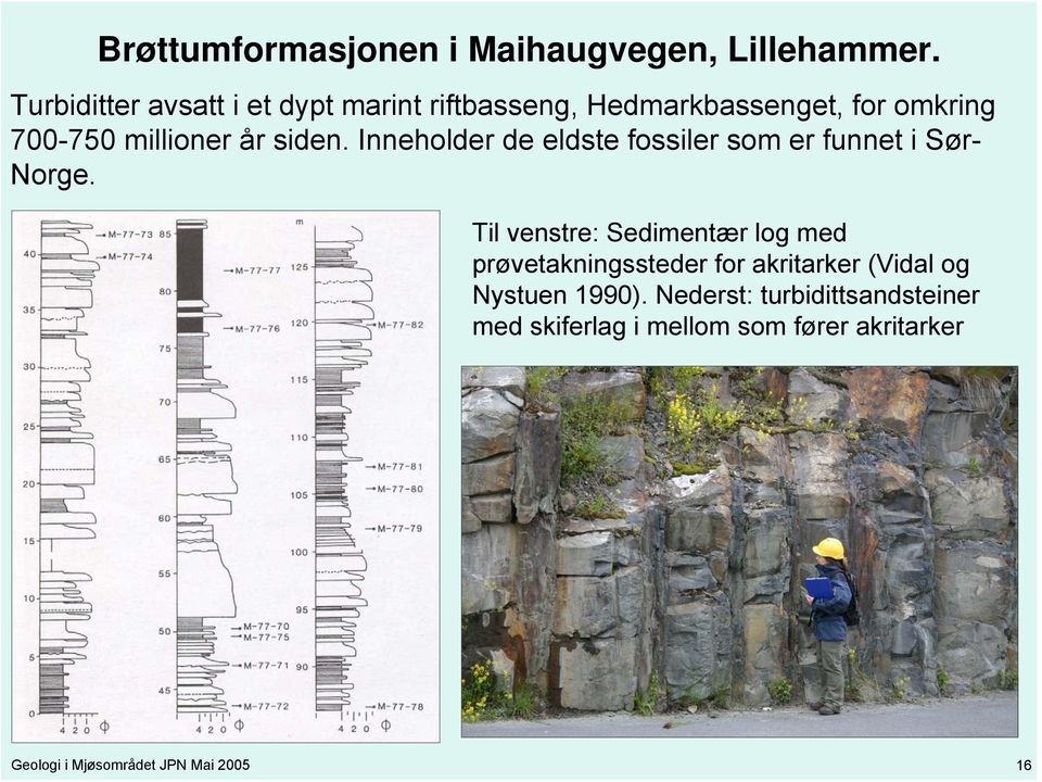 siden. Inneholder de eldste fossiler som er funnet i Sør- Norge.