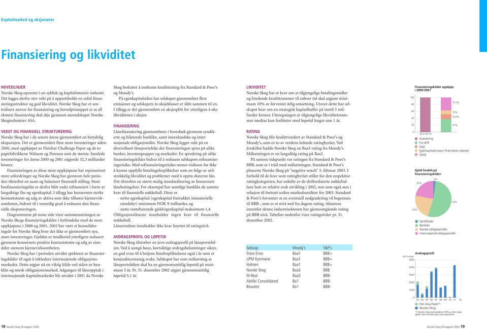 Norske Skog har et sentralisert ansvar for finansiering og hovedprinsippet er at all ekstern finansiering skal skje gjennom morselskapet Norske Skogindustrier ASA.