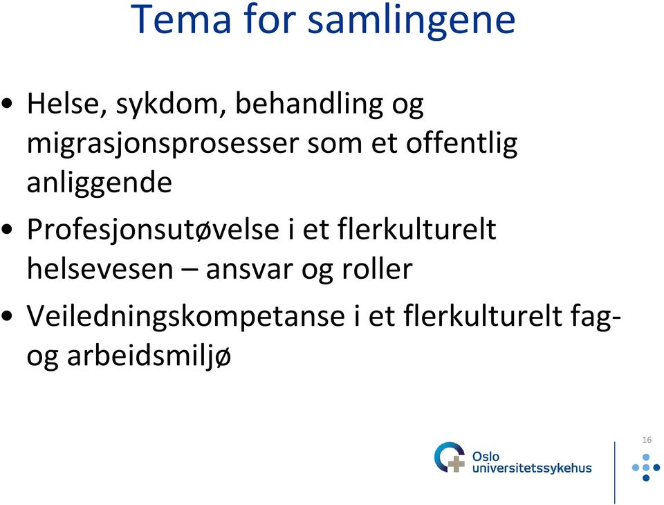 Profesjonsutøvelse i et flerkulturelt helsevesen ansvar