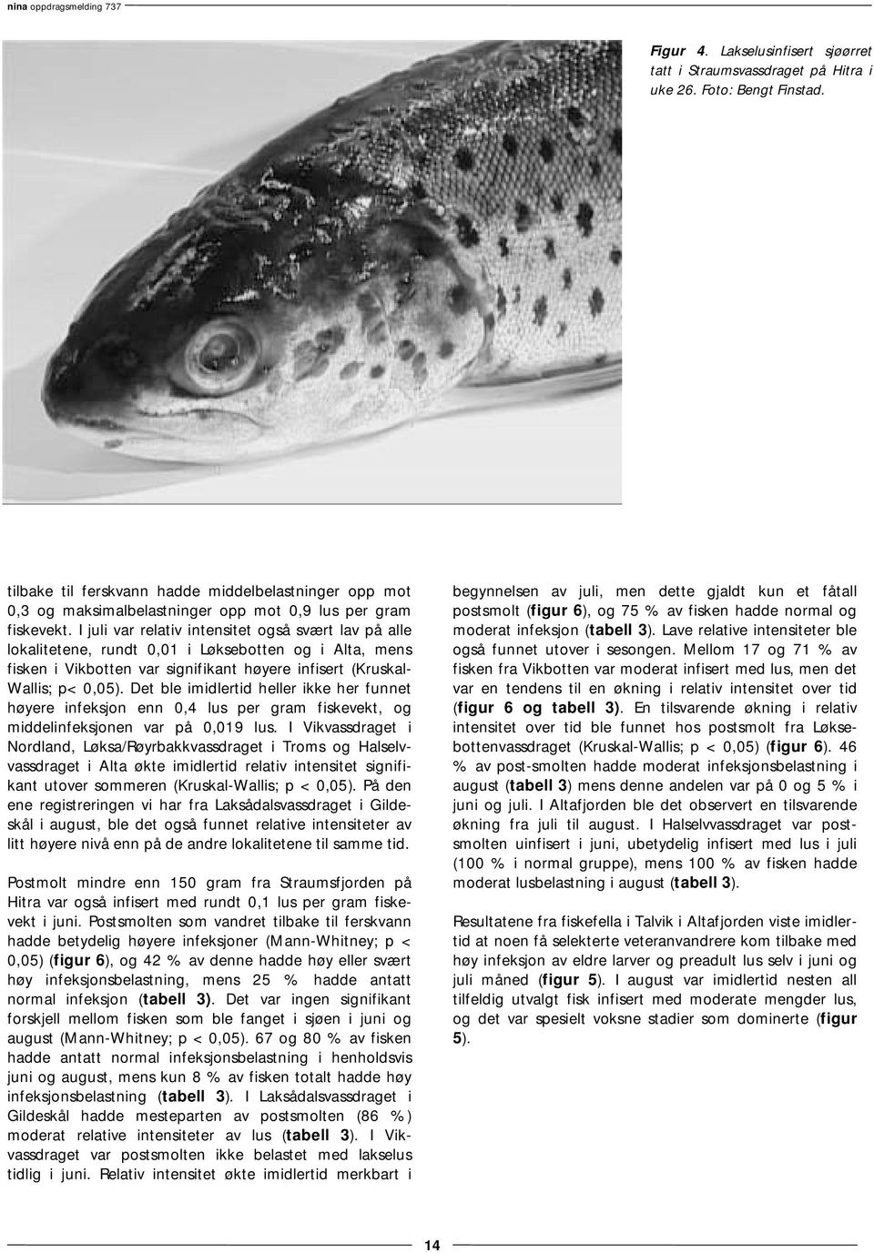 I juli var relativ intensitet også svært lav på alle lokalitetene, rundt 0,01 i Løksebotten og i Alta, mens fisken i Vikbotten var signifikant høyere infisert (Kruskal- Wallis; p< 0,05).