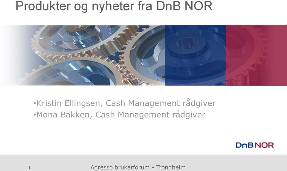 rådgiver Mona Bakken, Cash