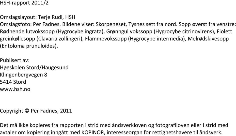 ( intermedia), Melrødskivesopp ( prunuloides). Publisert av: Høgskolen Stord/Haugesund Klingenbergvegen 8 5414 Stord www.hsh.