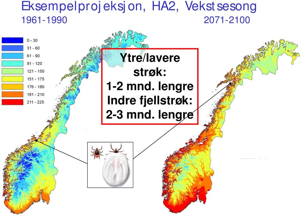 2071-21002100 Ytre/lavere strøk: