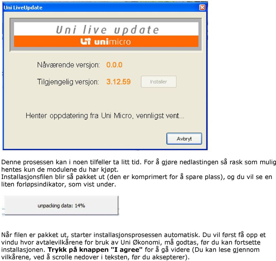 Når filen er pakket ut, starter installasjonsprosessen automatisk.