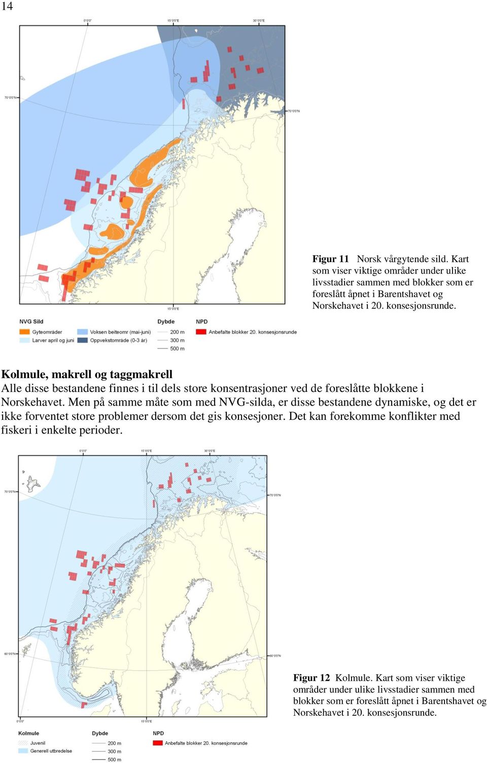 Men på samme måte som med NVG-silda, er disse bestandene dynamiske, og det er ikke forventet store problemer dersom det gis konsesjoner.