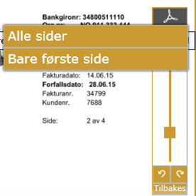For å se på andre sider i en faktura, klikk på mini-bildene som vises nederst på siden. Den du klikker på er den som vises på full størrelse.