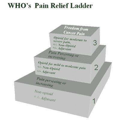 Smertetrappen WHO Tre trinn WHO s cancer pain ladder for adults Beholde 1.