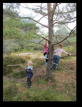 Sommerfuglgruppa( 3 ): i denne gruppa er det barn fra Rødhette, Askeladden og Tyrihans som alle sammen er 3 år.