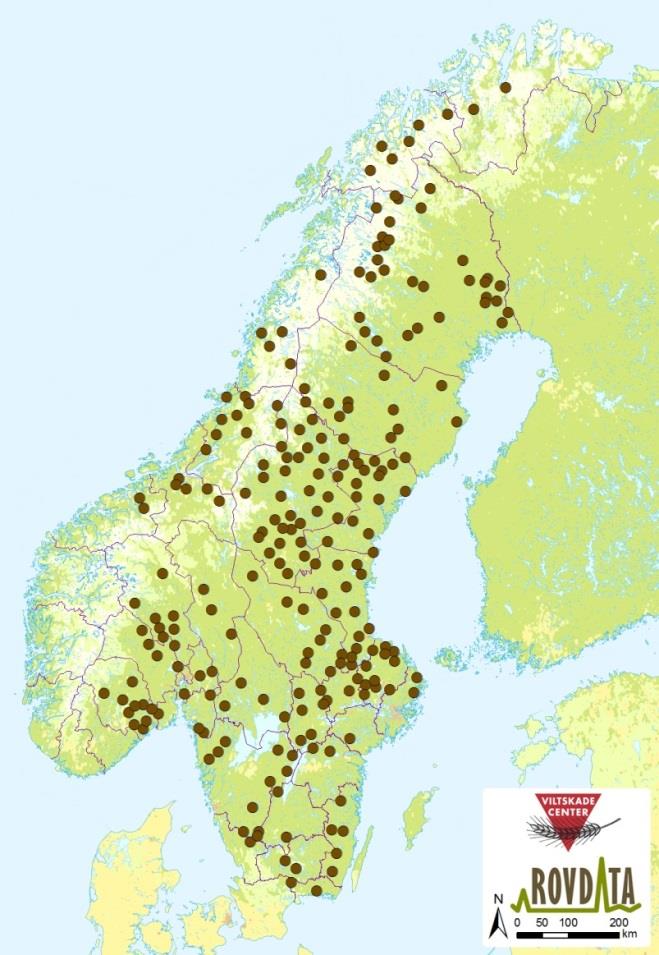 1.2 Gaupe Antall familiegrupper av gaupe registrert i Nordland i perioden 1995-2016. Kilde: Rovdata.