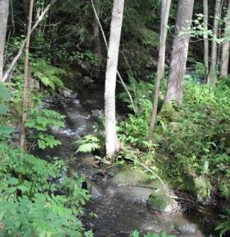 SKOKLEFALLSBEKKEN Vassdrag: Bunnefjorden Tiltaksområde (PURA): 18 Vannforekomst (Vann-nett): 005-50-R Beliggenhet: Nesodden Vanntype: 11 (leirpåvirkete elver) Påvirkning: Eutrofiering Figur 61 viser