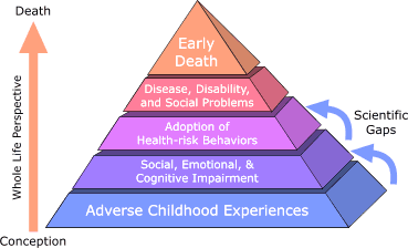 Traumer og somatisk sykelighet Adverse Childhood Experiences (ACE) er assosiert med utvikling senere i livet: Alkoholmisbruk