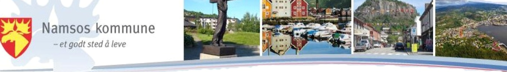 Avlastningstjenester i Namsos kommune Forslag til videreutvikling for barn og unge med ulike funksjonsnedsettelser. Det er avlastningen som har gjort at vi har overlevd (Jfr.