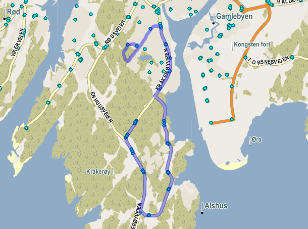 41 Turnr 536-5526 Rødsmyra skole Alshus - Femdal - Fv.