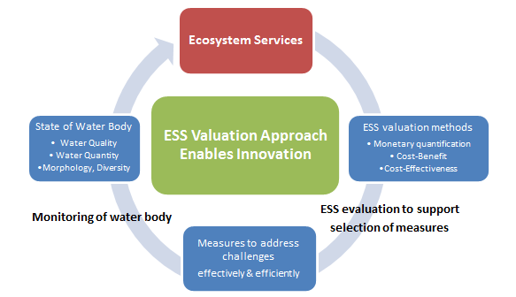 Verdi av økosystemtjenester som del av vurderingen Økosystemtjenester: Definert, men forskjellig fra sted til sted Teknologiske løsninger og styring/forvaltning i vannsektoren påvirker
