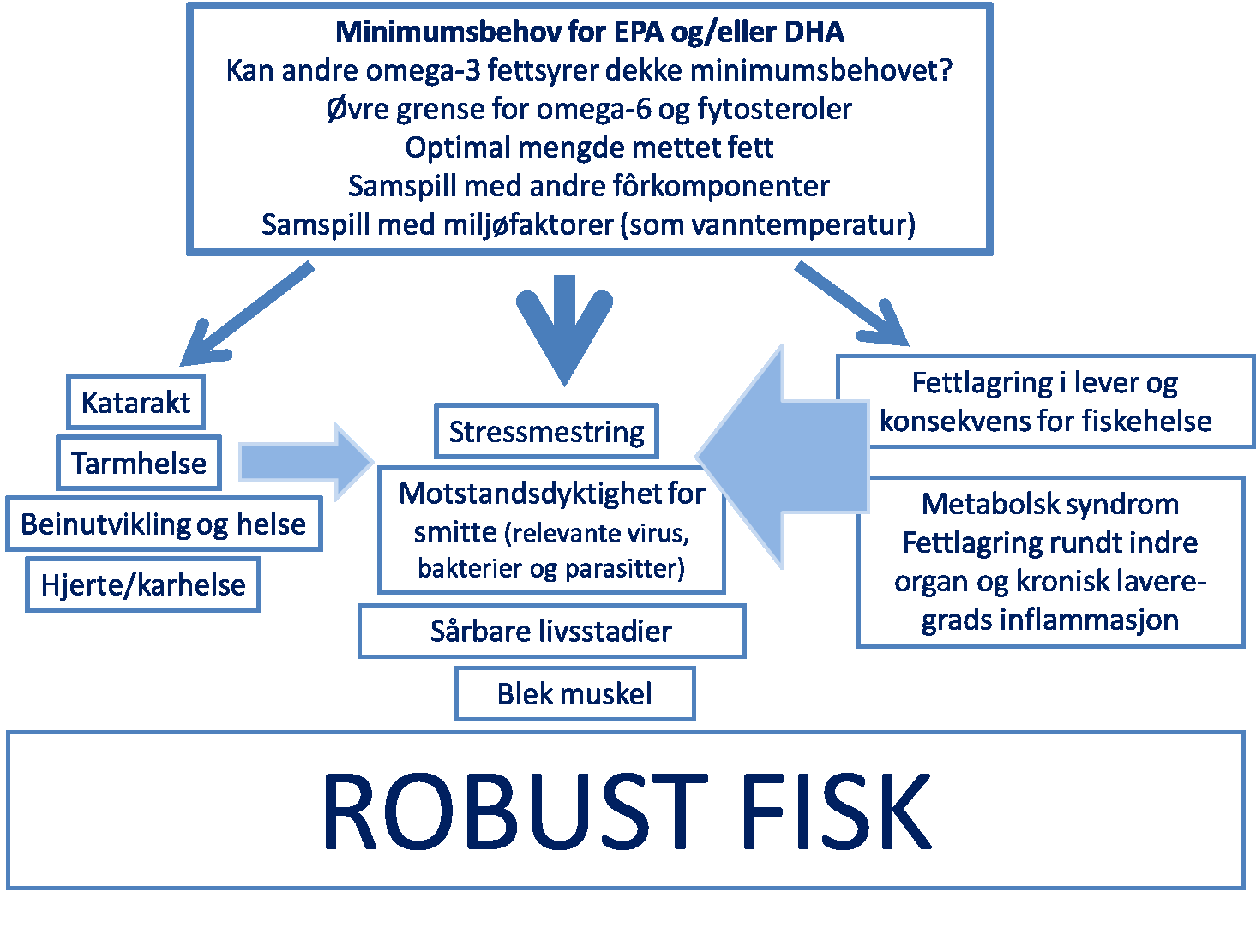 Figur 2; Oppsummert fiskehelse og velferdstilstander som er vist at påvirkes av fettsyresammensetning i fôret, og kunnskapsbehov for å sikre produksjon av robust fisk med endret fettsyresammensetning