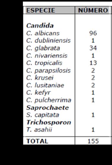 SAMMENLIGNING MELLOM METODER CHROMAGAR CANDIDA, ID32C OG MALDITOF