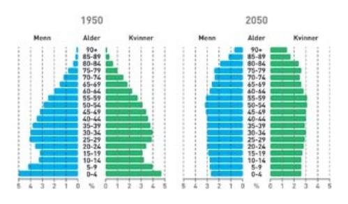 DE ELDRE 2005 NORGE Stigende risikogruppe. Befolkningspyramiden vil snu seg opp ned i framtida.