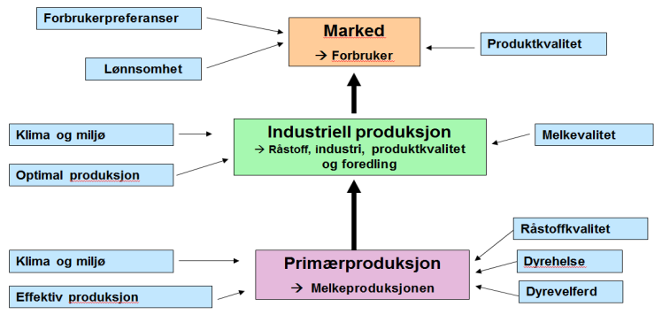 Driftsledelse