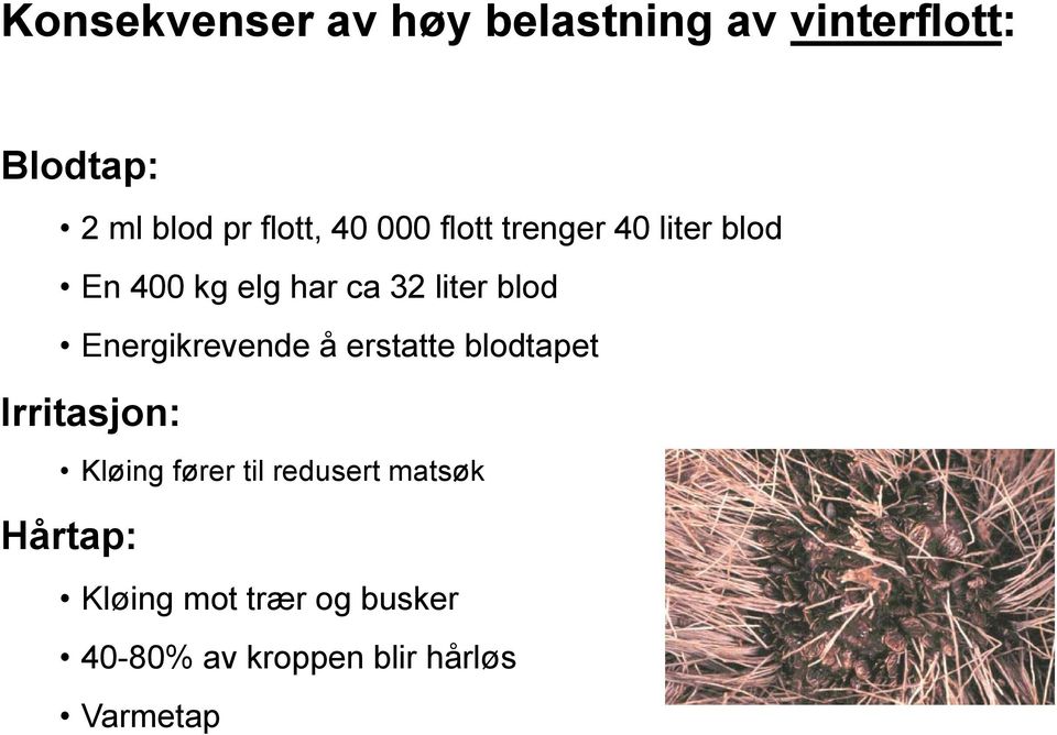 blod Energikrevende å erstatte blodtapet Irritasjon: Kløing fører til