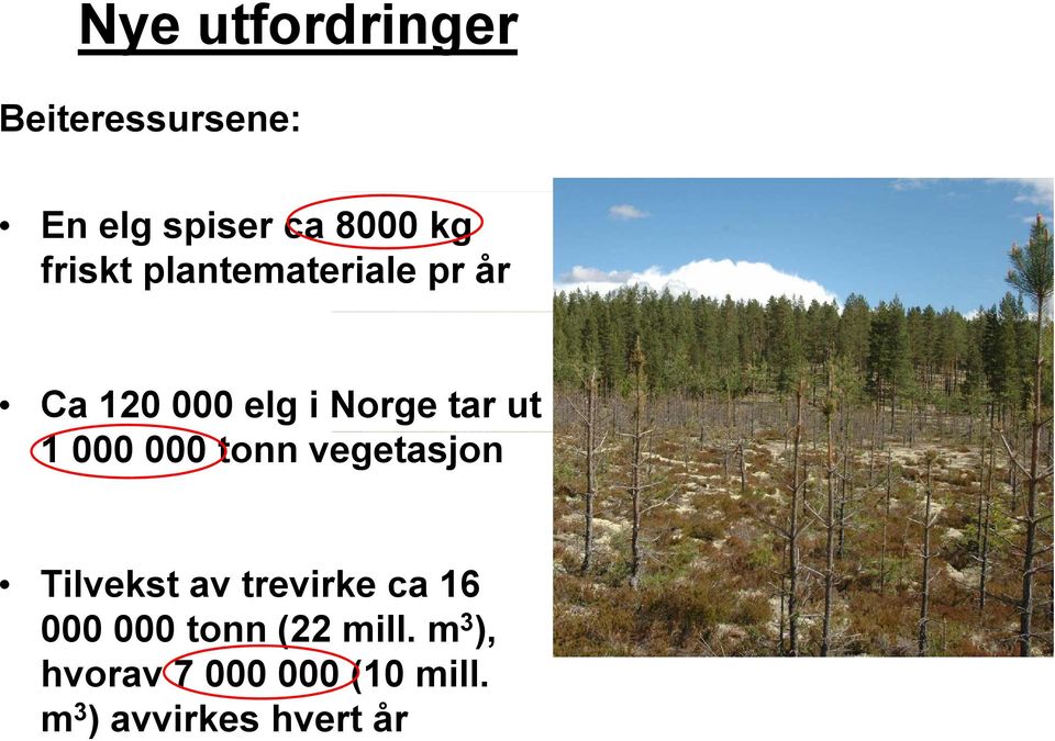 000 000 tonn vegetasjon Tilvekst av trevirke ca 16 000 000