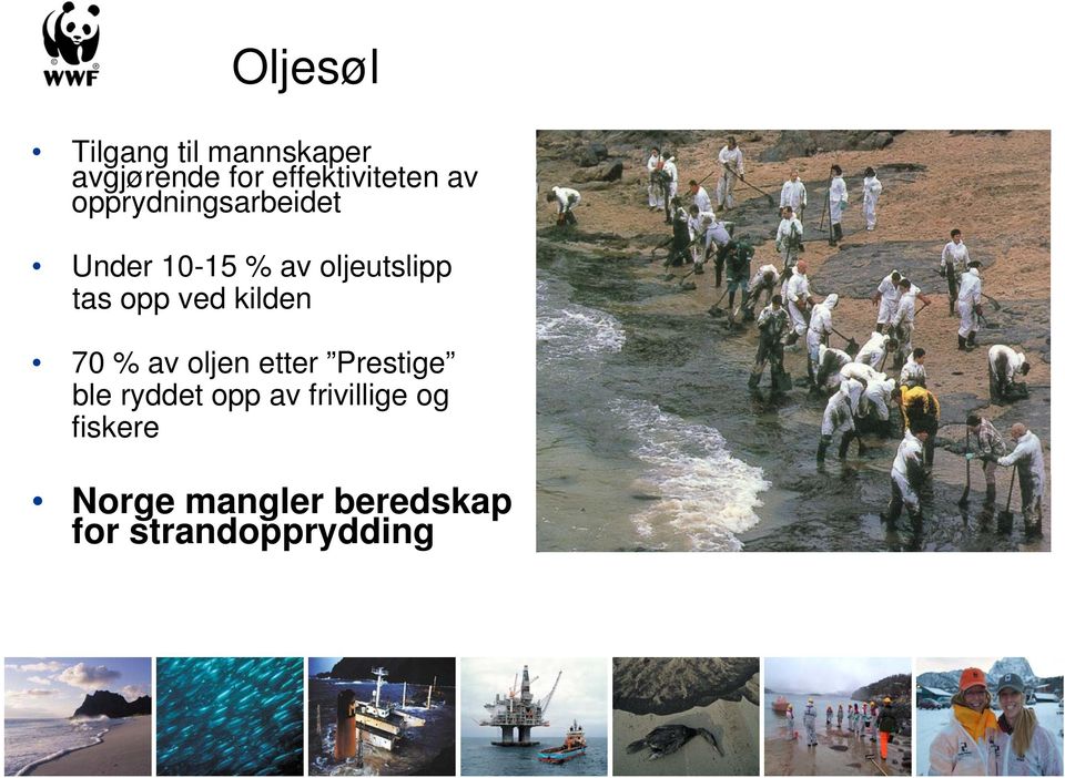 opp ved kilden 70 % av oljen etter Prestige ble ryddet opp av