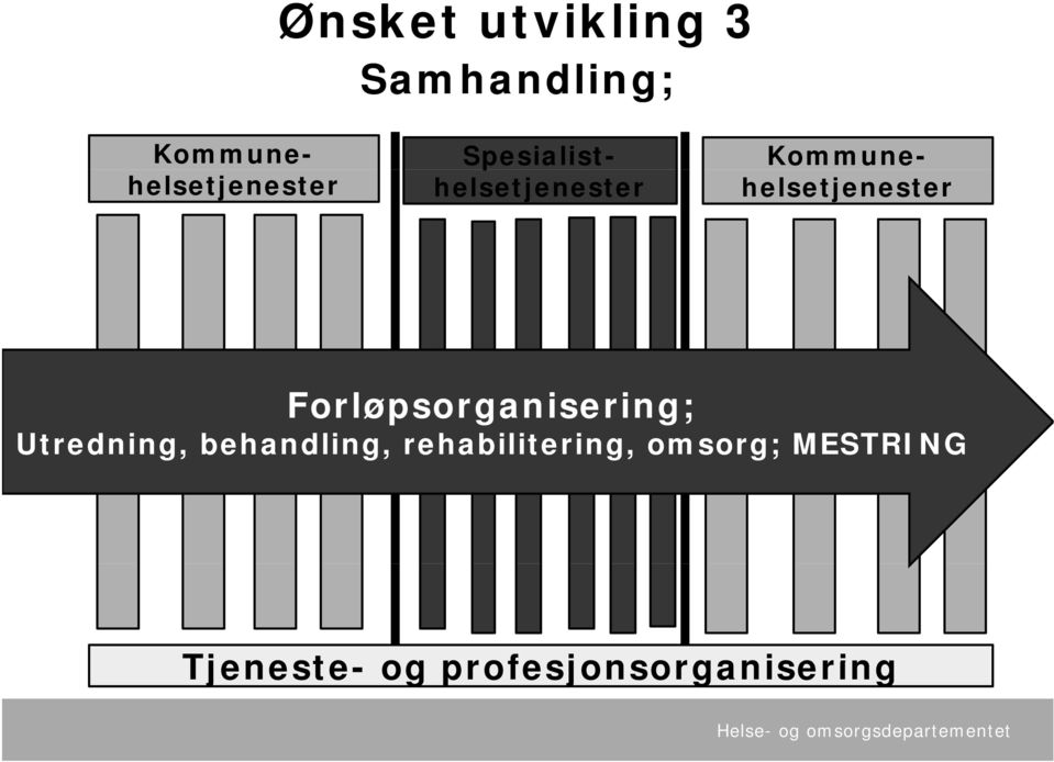 Kommunehelsetjenester Forløpsorganisering; Utredning,