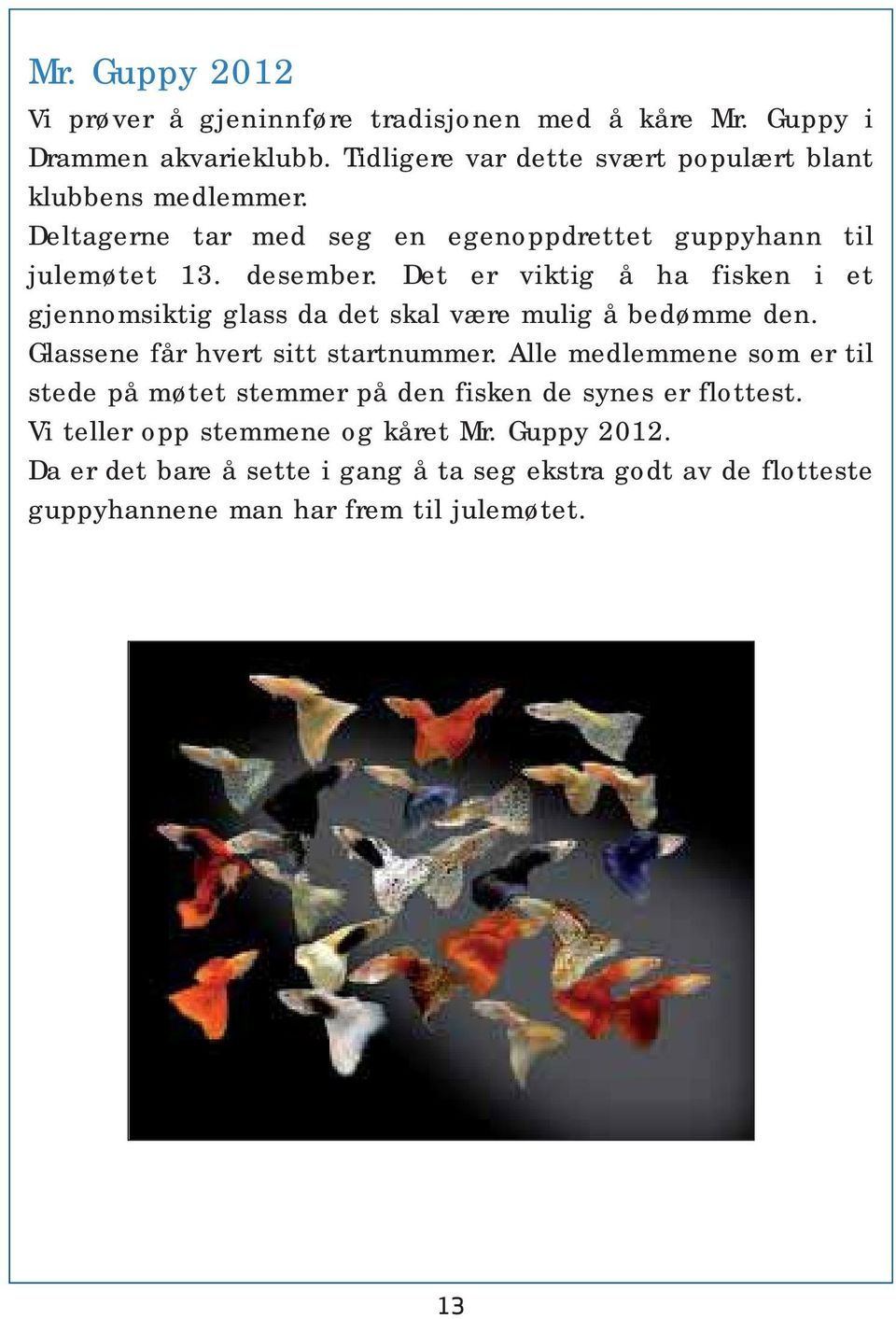 Det er viktig å ha fisken i et gjennomsiktig glass da det skal være mulig å bedømme den. Glassene får hvert sitt startnummer.