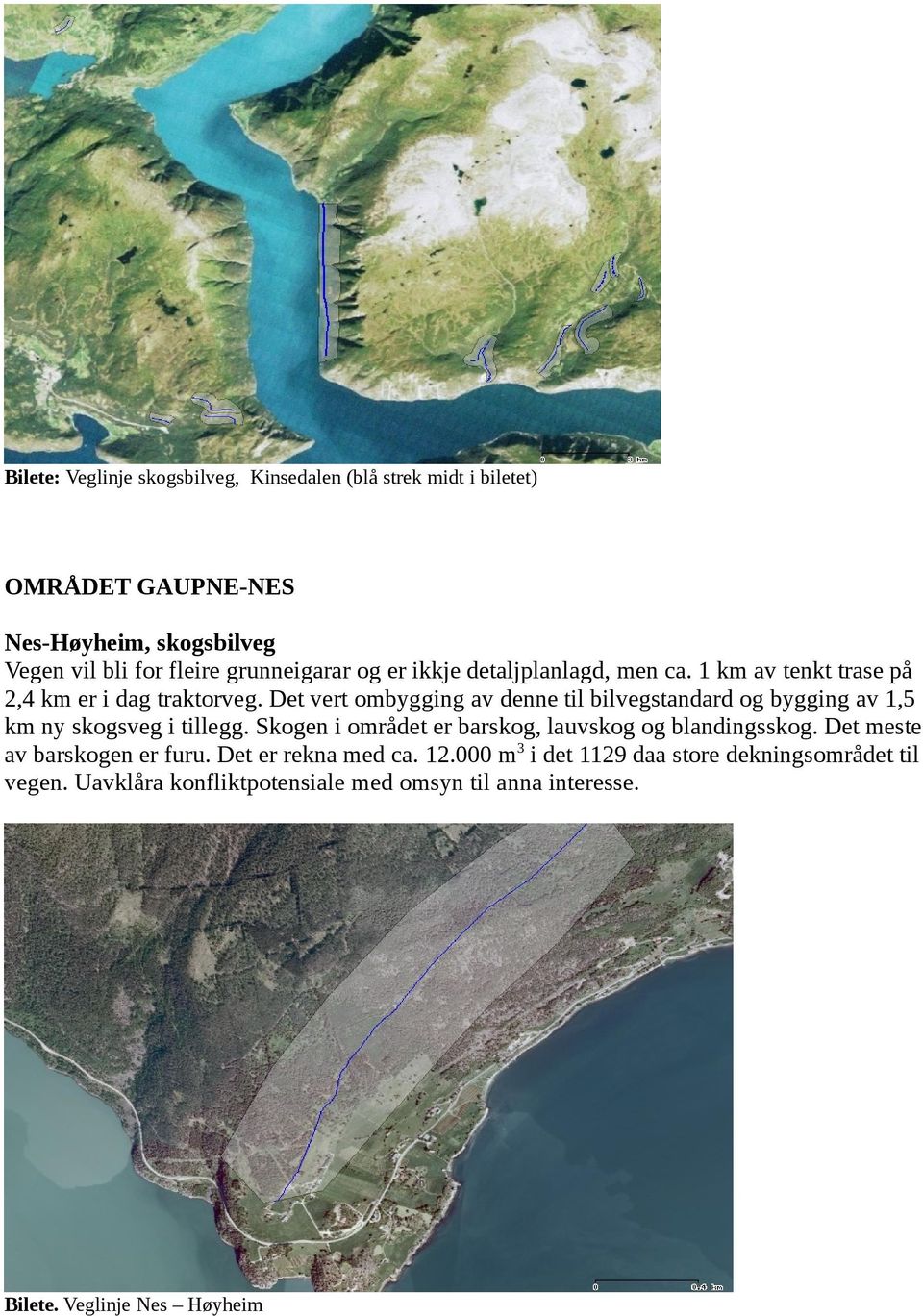 Det vert ombygging av denne til standard og bygging av 1,5 km ny skogsveg i tillegg. Skogen i området er barskog, lauvskog og blandingsskog.