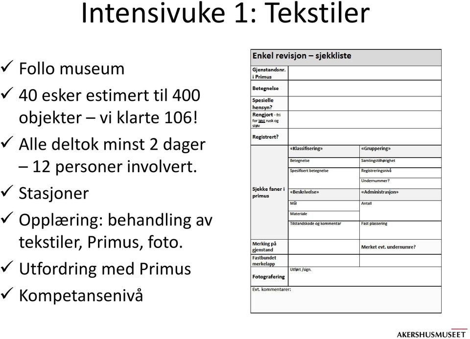 Alle deltok minst 2 dager 12 personer involvert.