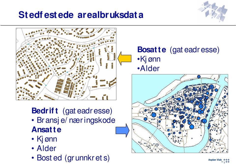 (gateadresse) Bransje/næringskode