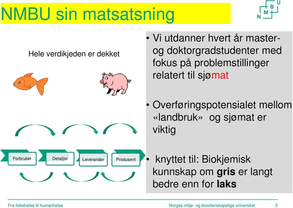 sjømat er viktig Forbruker Detaljist Leverandør Produsent knyttet til: Biokjemisk kunnskap om gris