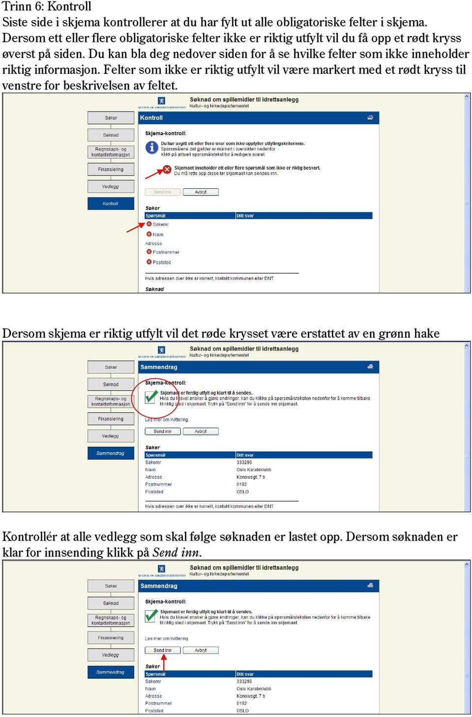 Du kan bla deg nedover siden for å se hvilke felter som ikke inneholder riktig informasjon.