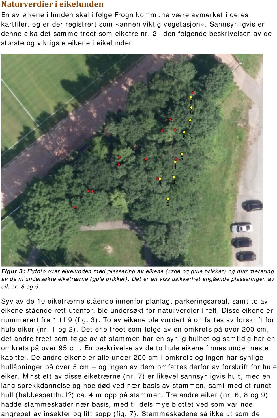 Figur 3: Flyfoto over eikelunden med plassering av eikene (røde og gule prikker) og nummerering av de ni undersøkte eiketrærne (gule prikker).