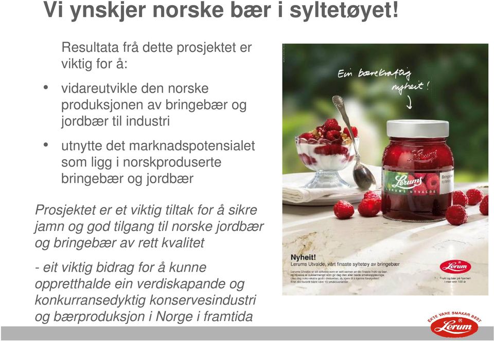 industri utnytte det marknadspotensialet som ligg i norskproduserte bringebær og jordbær Prosjektet er et viktig tiltak