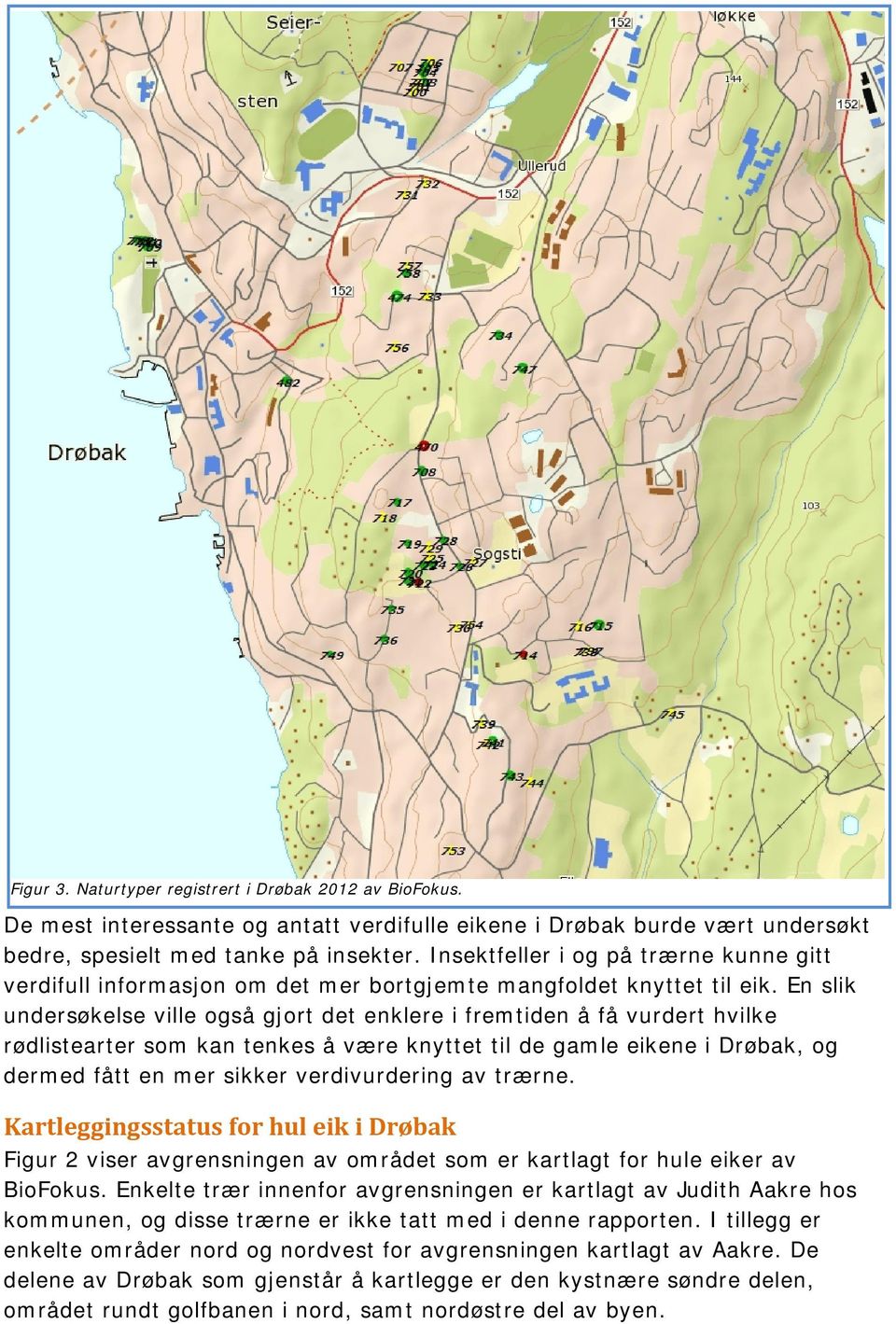 En slik undersøkelse ville også gjort det enklere i fremtiden å få vurdert hvilke rødlistearter som kan tenkes å være knyttet til de gamle eikene i Drøbak, og dermed fått en mer sikker verdivurdering