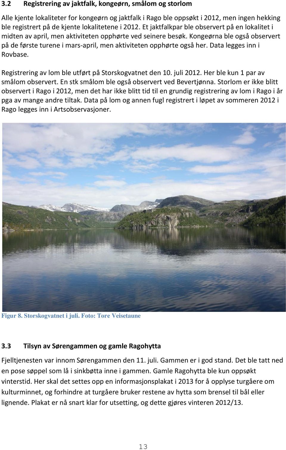 Kongeørna ble også observert på de første turene i mars-april, men aktiviteten opphørte også her. Data legges inn i Rovbase. Registrering av lom ble utført på Storskogvatnet den 10. juli 2012.