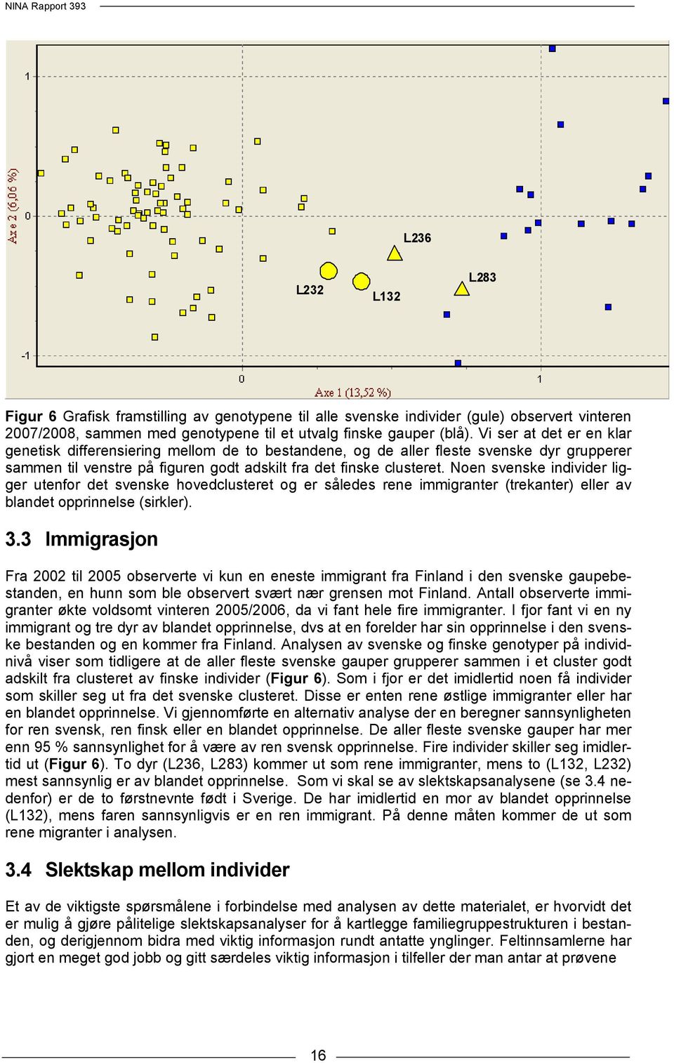 Noen svenske individer ligger utenfor det svenske hovedclusteret og er således rene immigranter (trekanter) eller av blandet opprinnelse (sirkler). 3.