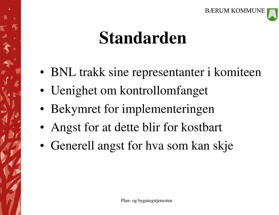 Bekymret for implementeringen Angst for at