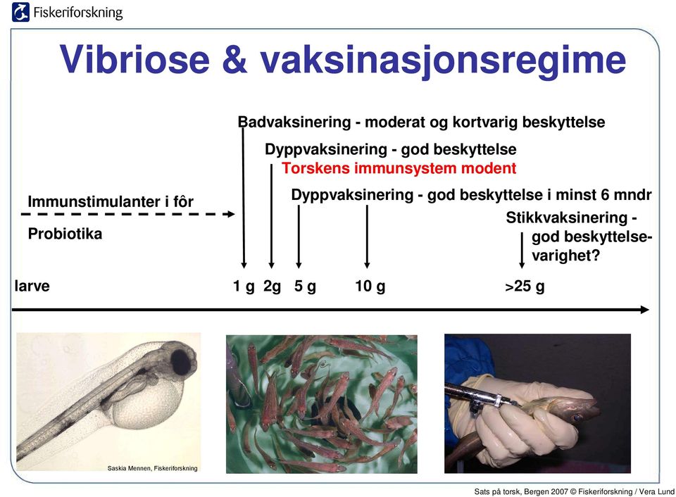 fôr Probiotika larve Dyppvaksinering - god beskyttelse i minst 6 mndr 1 g 2g 5 g