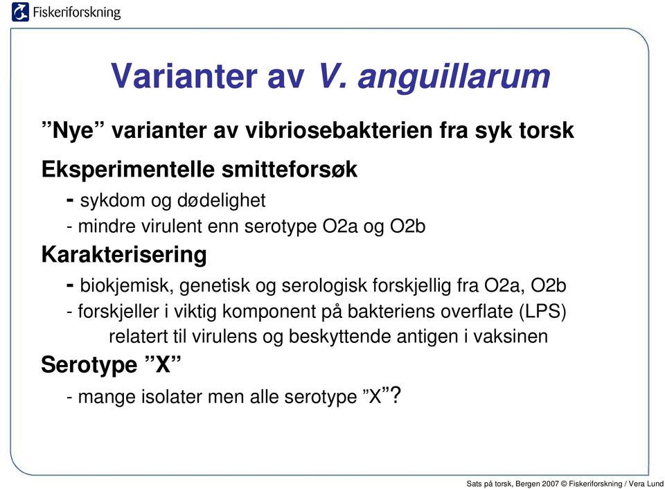 dødelighet - mindre virulent enn serotype O2a og O2b Karakterisering - biokjemisk, genetisk og