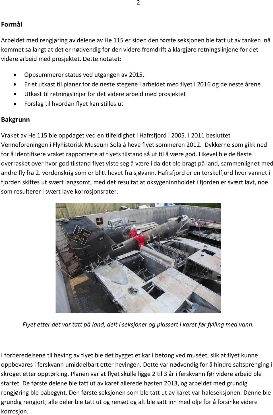 Dette notatet: Oppsummerer status ved utgangen av 2015, Bakgrunn Er et utkast til planer for de neste stegene i arbeidet med flyet i 2016 og de neste årene Utkast til retningslinjer for det videre