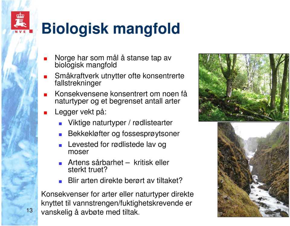 Bekkekløfter og fossesprøytsoner Levested for rødlistede lav og moser Artens sårbarhet kritisk eller sterkt truet?