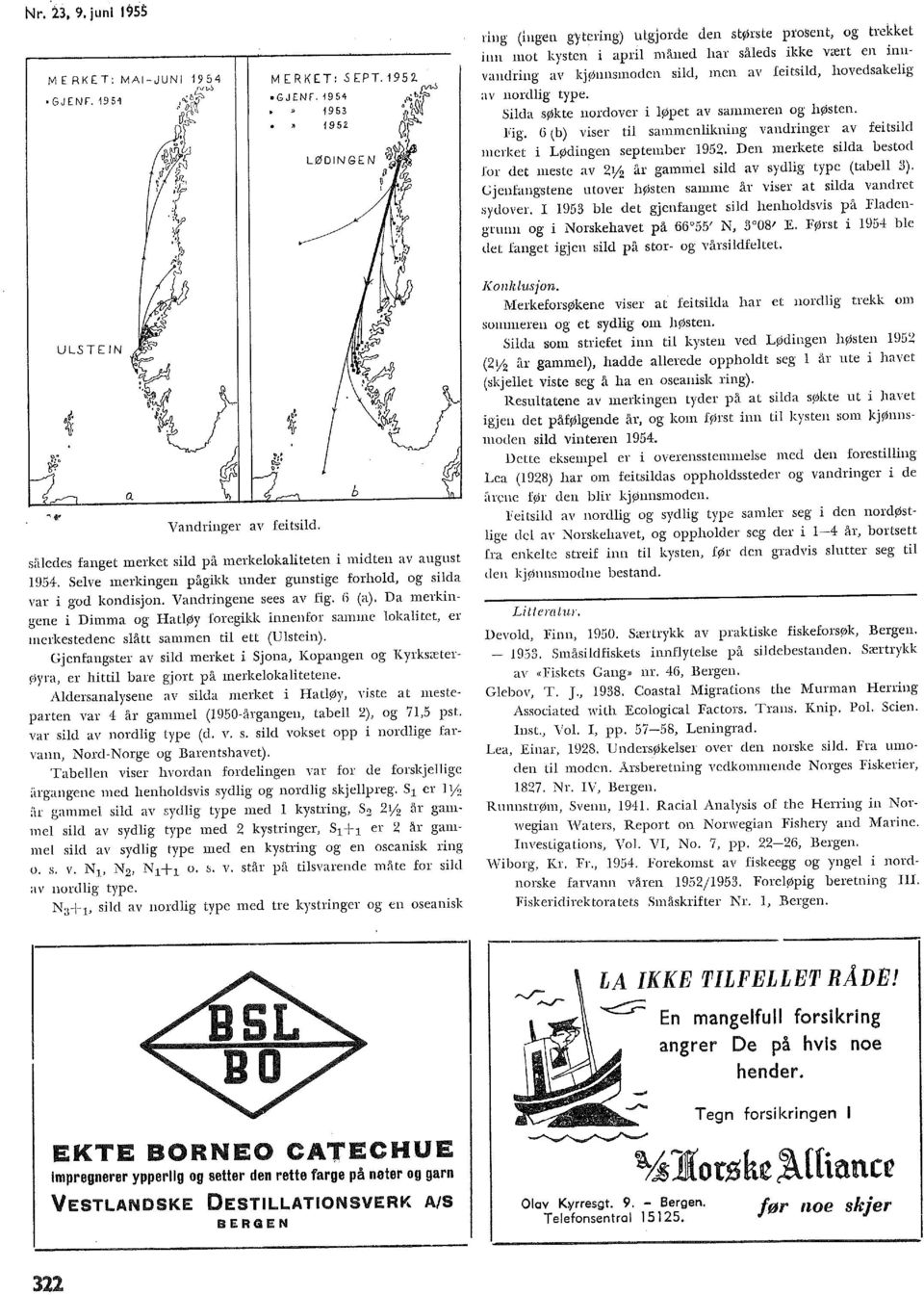 1954 1953 1952 LØDINGEN ring (ingen gytering) tttgjorde den største ptosent, og trekket inn mot kysten i apri måned har såeds ikke vært en innvandring av kjønnsmoden sid, men av feitsid, hovedsakeig