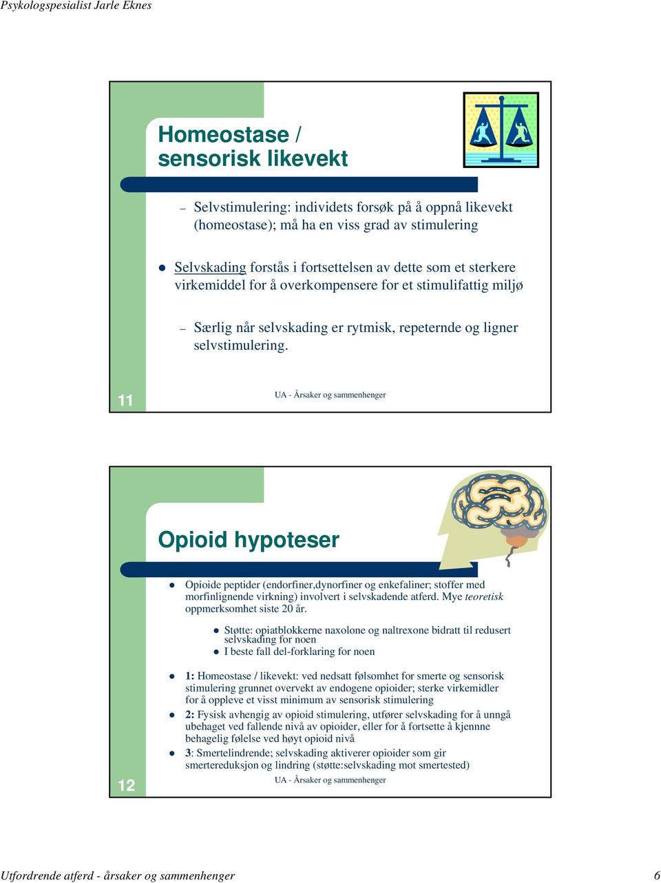11 Opioid hypoteser Opioide peptider (endorfiner,dynorfiner og enkefaliner; stoffer med morfinlignende virkning) involvert i selvskadende atferd. Mye teoretisk oppmerksomhet siste 20 år.