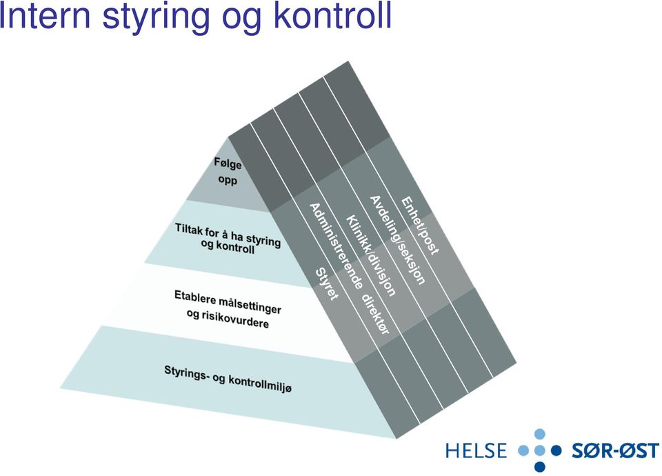 Avdeling/seksjon