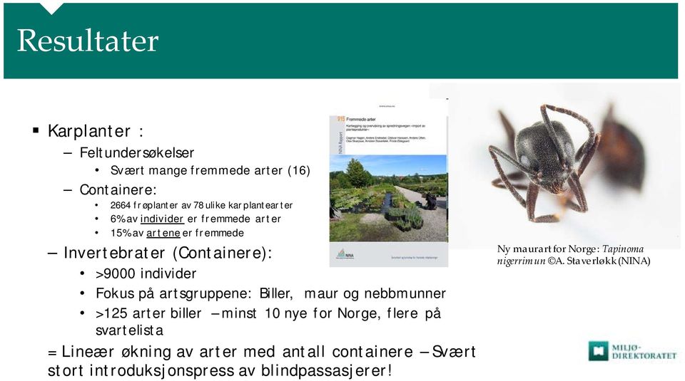 artsgruppene: Biller, maur og nebbmunner >125 arter biller minst 10 nye for Norge, flere på svartelista = Lineær økning av