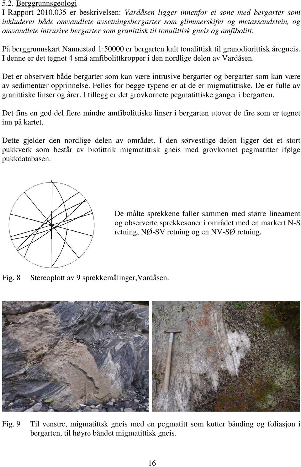 granittisk til tonalittisk gneis og amfibolitt. På berggrunnskart Nannestad 1:50000 er bergarten kalt tonalittisk til granodiorittisk åregneis.