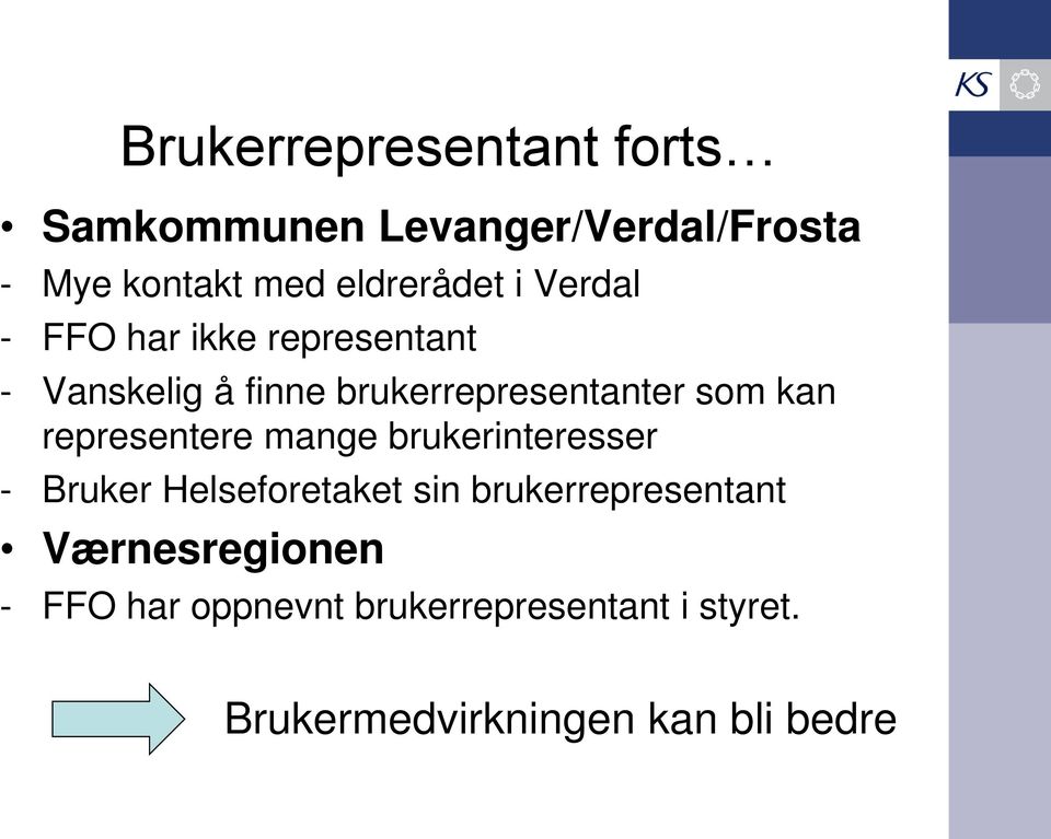 representere mange brukerinteresser - Bruker Helseforetaket sin brukerrepresentant