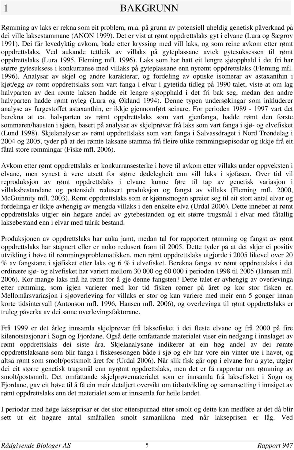 Ved aukande tettleik av villaks på gyteplassane avtek gytesuksessen til rømt oppdrettslaks (Lura 1995, Fleming mfl. 1996).