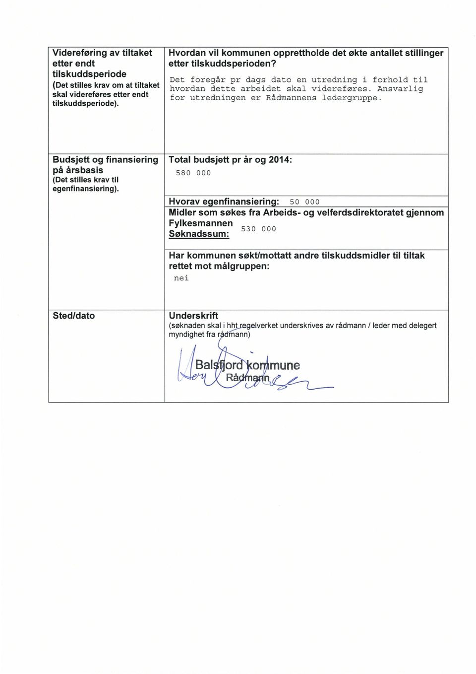 Ansvarlig for utredningen er Rådmannens ledergruppe. Budsjett og finansiering på årsbasis (Det stilles krav til egenfinansiering).